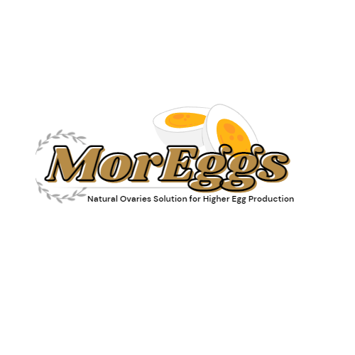 MOREGGS